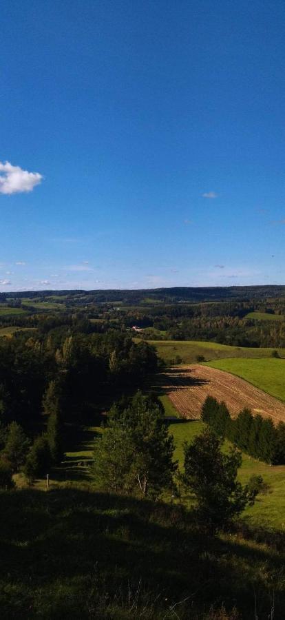 Zielona Dolina Villa Rutka-Tartak Kültér fotó